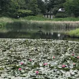 もえぎ野公園