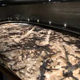地底の森ミュージアム