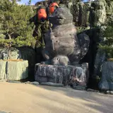 狸ひろば