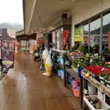 道の駅 八幡浜みなっと