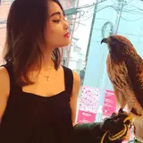 フクロウのお庭