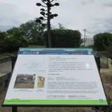 定の山古墳