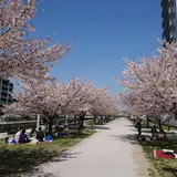 におどり公園