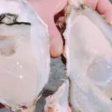 森田水産
