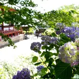 矢田寺