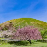 大室山