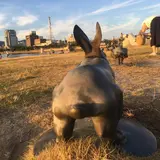 宍道湖うさぎ