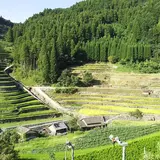 石積の棚田