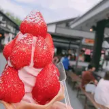 桜の馬場城彩苑