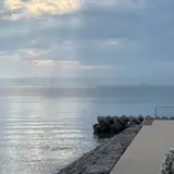 知多半島道路