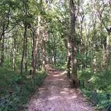 野火止緑地総合公園 野鳥の森