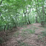 草軽電鉄軌道跡（別荘地内）