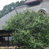 みずほの村市場 蕎舎