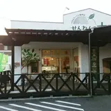 せんねんの木