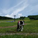 蓼科牧場ゴンドラリフト