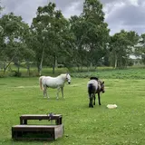 北海道箱根牧場