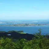 大根島