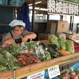 ブルーベリー明野