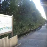 十三間川のせせらぎ