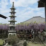 豊田池田の渡し公園