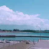 かもめ通り