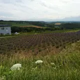 深山峠（かみふらの八景）