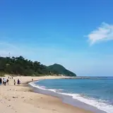琴引浜
