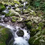 河内風穴