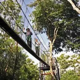 Forest Research Institute Malaysia (FRIM)