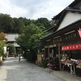 照の恵