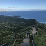 Diamond head（ダイヤモンド・ヘッド）