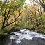 馬門岩