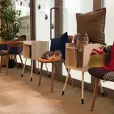 猫カフェ コックンの別荘 海老名ビナウォーク店