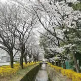 栃木市総合運動公園