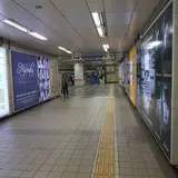 Hyehwayeog