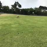 まかいの牧場