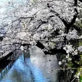 高崎城址公園