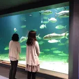 京都大学白浜水族館
