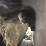 アクアマリンいなわしろカワセミ水族館