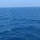 新日本海フェリー 小樽フェリーターミナル