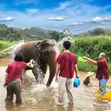 Ran-Tong Save & Rescue Elephant Centre