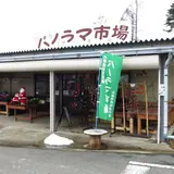 パノラマ市場