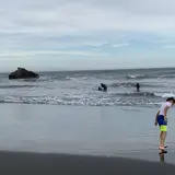 大磯海水浴場