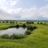 渡良瀬遊水地