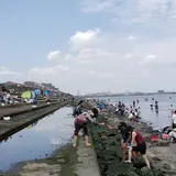 浦安市日の出三番瀬
