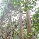 くしふる神社社務所