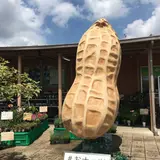 道の駅 木更津うまくたの里