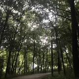 飯高山公園