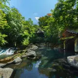 山みず木
