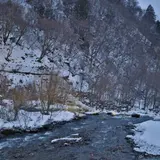 タルマかね氷